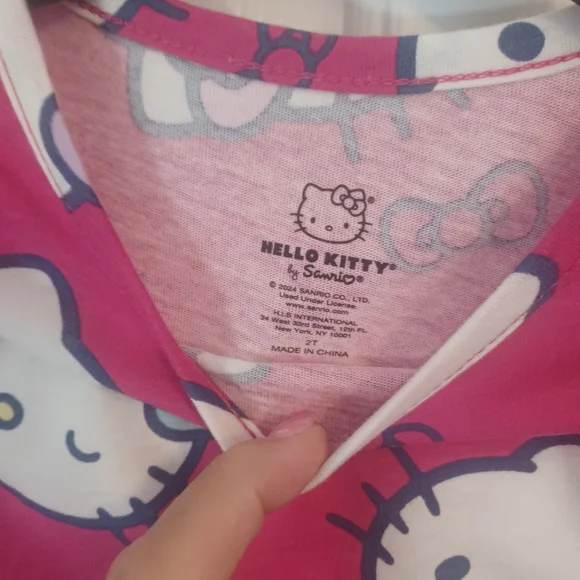 NEW Hello Kitty Drop Waist Long Sleeve Dress Sz 2T - Picture 3 of 4